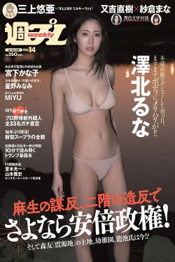 湄公河大案演员表